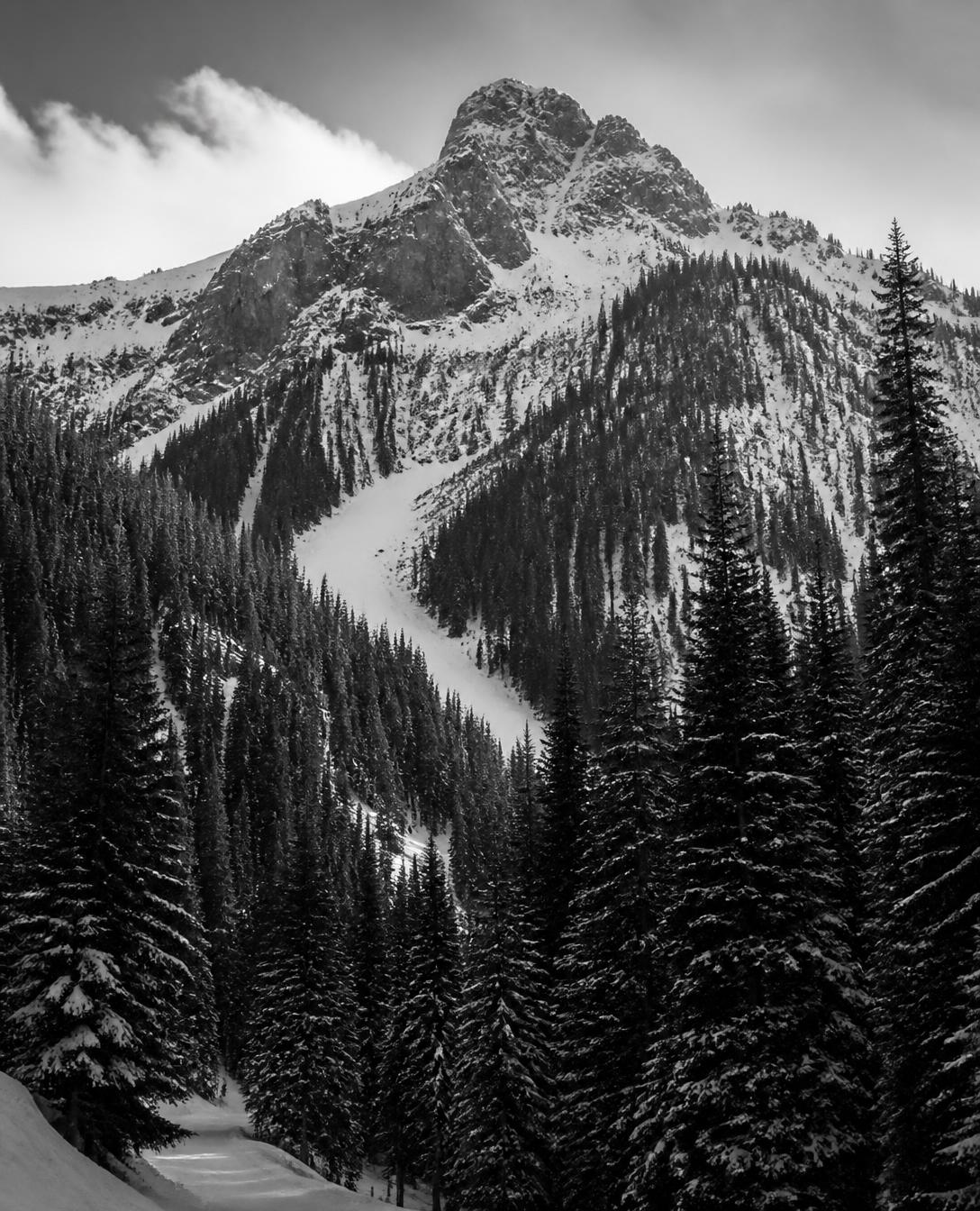 Snowy peak and evergreen forest above Taos Ski Valley